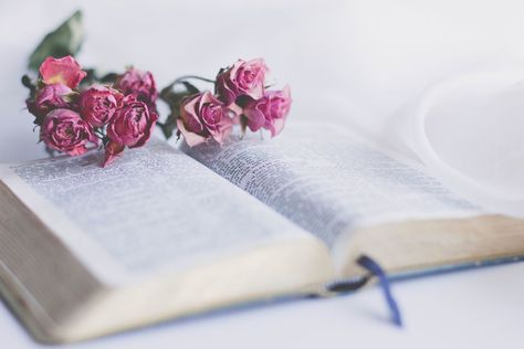 Bible And Flowers, Bible Images Books, Flowers In The Bible, Bible Reading Schedule, Daily Grace, Western Wallpaper Iphone, Bible Verses About Faith, Bible Images, Spiritual Transformation