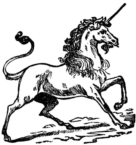 a Unicorn is a mythological creature that has cloven hooves (much like a stag's), a lion's tail, and the body of a horse. It also has one spiraling horn in the middle of its forehead. Medieval Unicorn, Forest Dweller, Unicorn Tattoo, Medieval Horse, Unicorn Tapestry, Medieval Drawings, Unicorn Tattoos, Unicorn Drawing, Unicorn Illustration