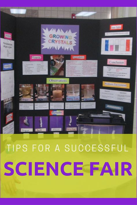 Create a memorable and well organized science fair. Great Tips to make the event a success. Growing Crystals Science Fair Project, Crystal Growing Science Fair Project, Crystal Science Fair Project, Science Fair Topics, Middle School Science Fair Projects, Classroom Science Experiments, Science Project Board, Elementary Science Fair Projects, Science Fair Board