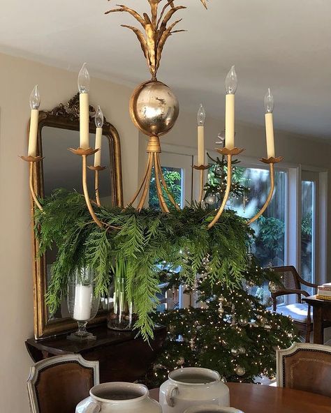 Christmas Garland Chandelier, Garland On Light Fixture, How To Decorate Chandelier For Christmas, Garland On Chandelier, Decorate Chandelier For Christmas, Chandelier Garland, Fresh Cedar Garland, Christmas Eve Open House, Decorate Chandelier