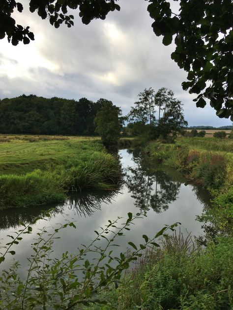 Overcast Aesthetic, Muggy Weather, Clear Weather, Writing Pictures, 5 September, 70 Degrees, Tropical Weather, Mystical Places, Forest Photos