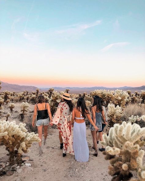 Dreamy Vacation Destinations to Visit in 2019 | The Everygirl Palm Springs Outfit, Travel Guide Design, Palm Springs Bachelorette, Palm Spring, Desert Vibes, Palm Springs California, Joshua Tree National Park, Instagram Worthy, In The Desert