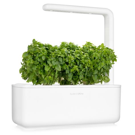 Click Grow White Smart Garden Click And Grow, Herb Garden Planter, Basil Plant, Smart Garden, His Office, Garden Pathway, Led Grow, Different Plants, Garden Stool