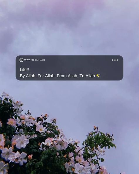 Allah Quotes Aesthetic, Dp Change, Qoutes About Me, Way To Jannah, Birthday Captions For Myself, Reminder Wallpaper, Namaz Quotes, Well Quotes, Trust Allah