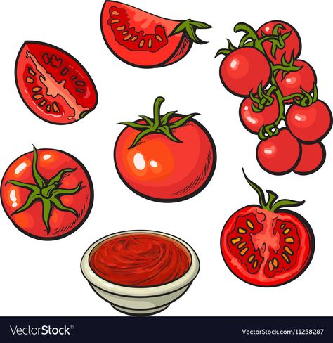 Tomato Images, Tomato Tattoo, Tomato Drawing, Taboo Tattoo, Seashell Tattoos, Recipe Drawing, Food Illustration Art, Farm Logo, Red Tomato