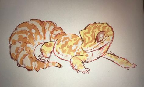 Cute Lizard, Cute Reptiles, Animal Doodles, Leopard Gecko, Beautiful Dark Art, Animal Sketches, I Left, Cute Animal Drawings, Cool Art Drawings