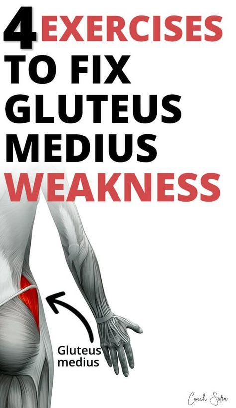 Medius Workout, Gluteus Medius Exercises, Glute Medius, Hip Strengthening Exercises, Hip Flexor Exercises, Piriformis Syndrome, Gluteus Medius, Strengthening Exercises, Back Pain Exercises