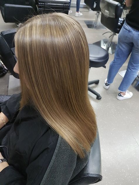 Light Hair Colour Ideas, Honey Blonde Highlights On Light Brown Hair, T Bar Highlights, Highlights On Natural Blonde Hair, Light Highlights On Dirty Blonde Hair, Straight Dirty Blonde Hair, Dirty Blonde Hair Straight, Small Blonde Highlights, Light Brown Hair With Subtle Highlights