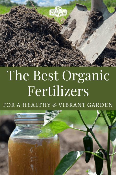 The Best Organic Fertilizers for Your Vegetable Garden • The Prairie Homestead Vegetable Garden Fertilizer, Natural Fertilizer, Meteor Garden 2018, Magic Garden, Fertilizer For Plants, Garden Route, Organic Gardening Tips, Soil Health, Plant Health