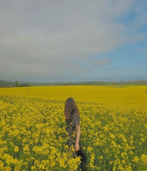 Yellow Field Photoshoot, Aesthetic Dogs, Photoshoot Spring, Yellow Field, Music Flower, Yellow Fields, Spring Yellow, Flower Meadow, Yellow Aesthetic