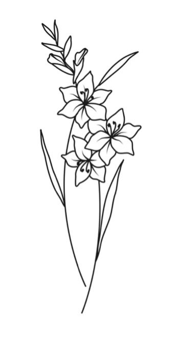 Tiny Gladiolus Tattoo, Gladolius Tattoo, Gladiolus Drawing Simple, Simple Gladiolus Flower Tattoo, Gladiolus Flower Drawing Tattoos, Gladiolus Flower Drawing Simple, Gladiolus Tattoo Simple, Gladiolus Illustration, Gladiolus Drawing