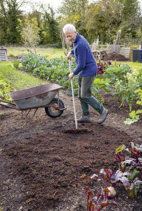 Charles Dowding Gardens, Charles Dowding No Dig, Chaotic Gardening, No Dig Gardening, Chaos Gardening, Regenerative Gardening, No Dig Garden, Garden Prep, Charles Dowding