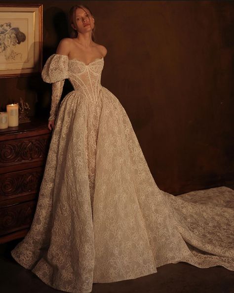 Corset Big Dress, 18th Century Inspired Wedding Dress, Wedding Dress Elegant Romantic, Long Train Lace Wedding Dress, Wedding Dresses With Tiara, Silly Wedding Dress, Unreal Wedding Dresses, Wedding Dress Regal, Dramatic Wedding Gown