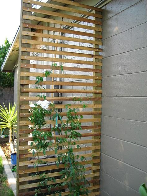 trellis start | wes designed this trellis which will be in o… | Flickr Simple Trellis, Diy Garden Trellis, Diy Trellis, Plants Growing, Backyard Pergola, Pergola Plans, Side Yard, Paver Patio, Garden Trellis