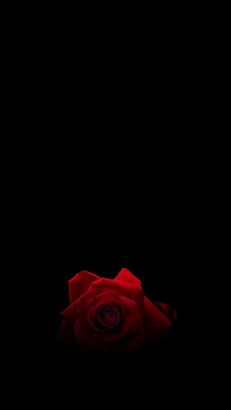 Rose wallpaper simple, red Simple Black And Red Wallpaper, Dark Red Roses Wallpaper, Red Rose Background, Wallpaper Rose, Red Roses Wallpaper, Dark Red Roses, Sparkle Wallpaper, Roses Wallpaper, Rose Flower Wallpaper