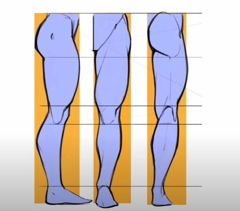 Legs From Behind Reference, Muscular Legs Reference, Thigh Anatomy, Leg Anatomy Drawing, Thigh Reference, Legs Drawing Reference, Male Legs Reference, Leg Study, Legs Anatomy