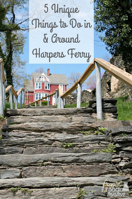 Frugal Foodie Mama: 5 Unique Things to Do In & Around Harpers Ferry Harper’s Ferry Wv, Harpers Ferry West Virginia, West Virginia Travel, Virginia Vacation, Virginia Travel, Harpers Ferry, Dc Travel, Pet Car Seat, Pet Car