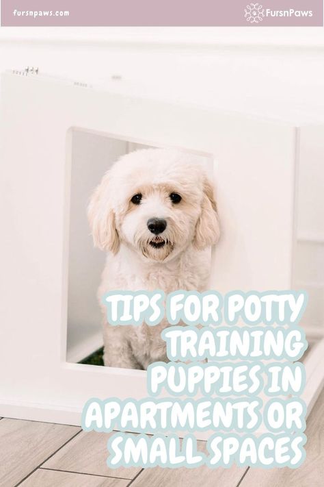 Tips For Potty Training Puppies / Training Puppy To Potty Outside / Dog potty training / Dog Training Tips Training Tips For Puppies, Tips For Puppies, Potty Training Puppies, Potty Training Puppy Apartment, Dog Potty Area, Puppy Potty Training Tips, Puppy Potty Training, Training Puppies, Train A Puppy