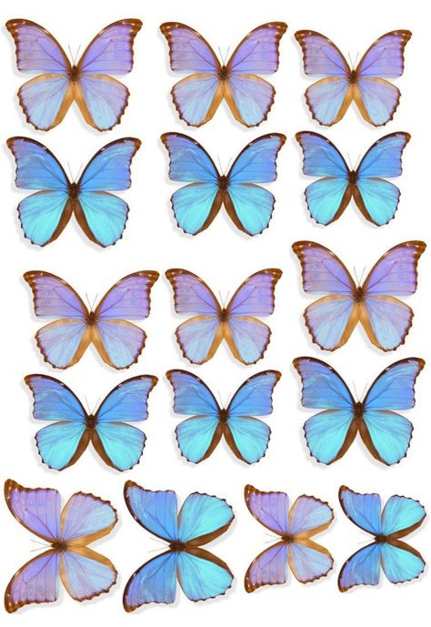 Butterfly Printable Template, Photo Cake Topper, Butterfly Cake Topper, Blue Butterfly Wallpaper, Mermaid Cake Topper, Birthday Cake Topper Printable, Butterfly Template, Butterfly Printable, Diy Cake Topper