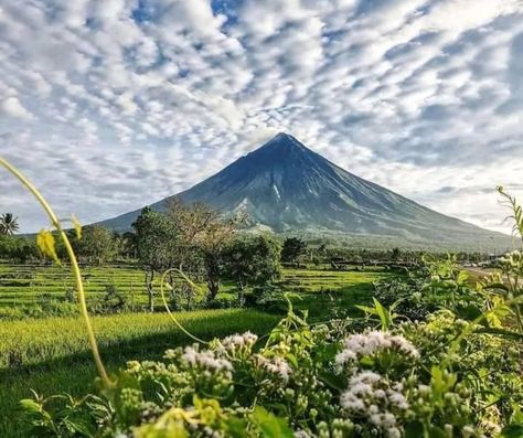 🌋✨ Discover the breathtaking beauty of Mayon Volcano, the most active volcano in the Philippines! With its perfect cone shape and stunning landscapes, it's a must-visit for adventure seekers and nature lovers alike. 🏞️ Whether you're hiking its trails, capturing the sunrise, or simply soaking in the views, Mayon promises unforgettable memories. Don't forget your camera! 📸🌄 #MayonVolcano #Philippines #NatureLovers #AdventureAwaits #TravelGoals #ExplorePhilippines #VolcanoViews #Travel #Traveli... Mayon Volcano Aesthetic Wallpaper, Philippines Landscape, Mountain In Philippines, A Wallpaper Letter Love, Mayon Volcano, Wallpaper Letter, Sierra Madre Mountains Philippines, Active Volcanoes In The Philippines, Stunning Landscapes