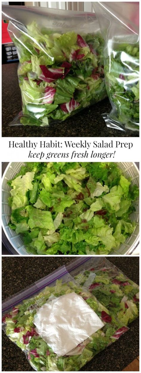 Salad Prep, Diet Vegetarian, Stay Fresh, Healthy Salads, Delicious Salads, Soup And Salad, Healthy Lunch, Healthy Choices, Healthy Habits