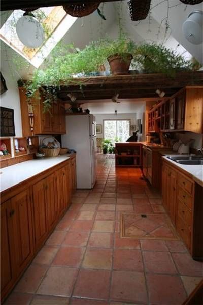 vaulted ceiling, terracotta tiles and the most amazing house plant I've ever seen Plants Vaulted Ceiling, Tera Cotta Tile Floor Kitchen, Terra Cotta Tile Kitchen Floor, Terracota Floors Kitchen, Terracotta Tiled Kitchen, Terracotta Flooring Kitchen, Terracota Kitchen Floor, Red Tile Kitchen Floor, Terracota Floors