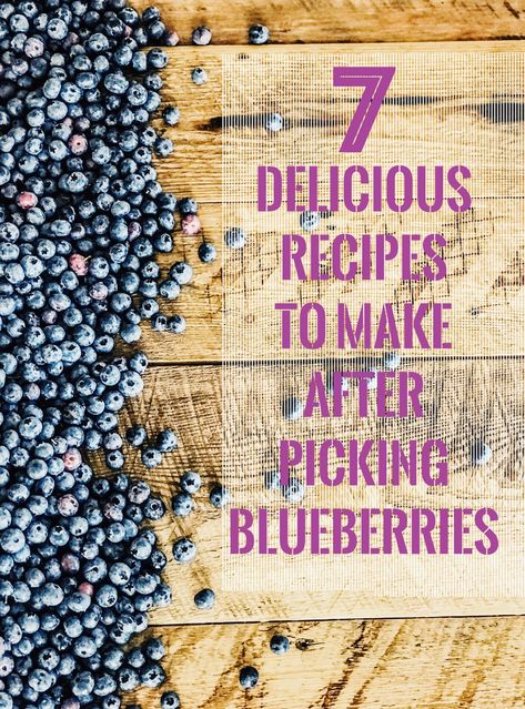 Whipped Topping Dessert, Jam Blueberry, Berry Topping, Fresh Blueberry Recipes, Pie Blueberry, Yogurt Berries, Blogger Ideas, Blueberry Yogurt, Blueberry Ice Cream