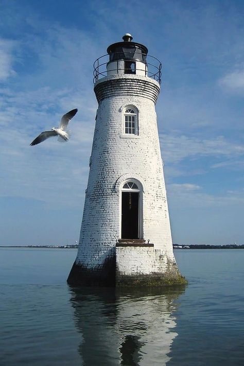 Georgia Lighthouses, Architecture Photography Buildings, Lake Lighthouse, Lighthouses Photography, Nautical Inspiration, Lighthouse Photos, Lighthouse Pictures, Lighthouse Painting, Lighthouse Art