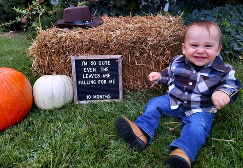 7 Month Old Letter Board, 10 Month Letter Board, 10 Month Old Letter Board Ideas, Milestone Letter Board Ideas, Thanksgiving Letter Board Baby, 3 Month Old Fall Baby Pictures, 11 Month Baby Photo Ideas, 10 Month Baby Photoshoot, Fall Letter Board