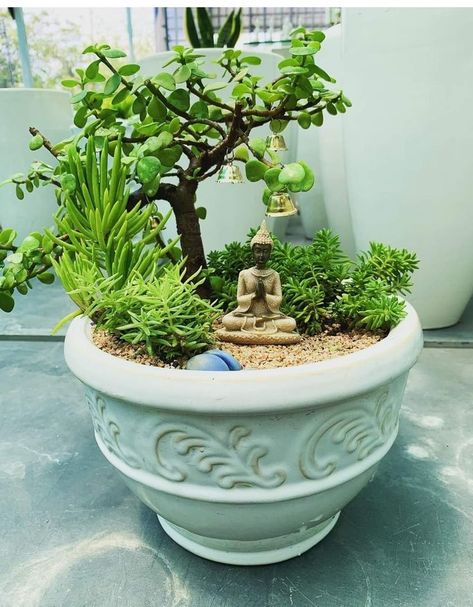 Portico Decor, Succulents Landscaping, Mini Japanese Garden, Zen Garden Mini, Tulsi Pot, Tulsi Plant, Creative Garden Decor, Mini Plant Pots, Zen Garden Design