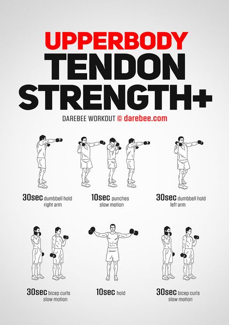 Upperbody Tendon Strength Plus Arm Strength Workout, Boxer Workout, Beginner Pilates, Dumbbell Workout At Home, Boxing Training Workout, Fitness Studio Training, Gym Antrenmanları, Dumbell Workout, Pilates Video