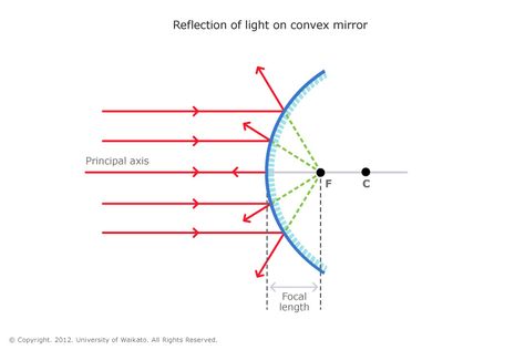 When parallel light rays hit a convex mirror they reflect outwards and travel directly away from an imaginary focal point (F). Each individual ray is still reflecting at the same angle as it hits that small part of the surface. Specular Reflection, Spherical Mirror, Reflection Of Light, Diffuse Reflection, Light Science, Basic Physics, Physics Formulas, Physics Notes, Science Learning