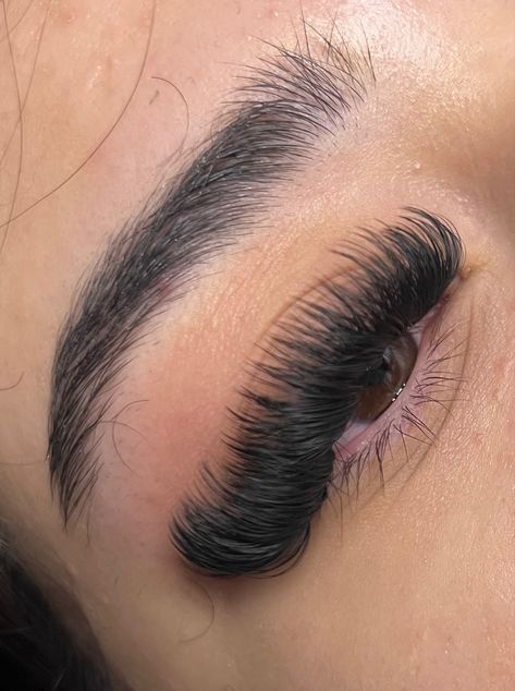 Cat Eye Mega Volume Lash Extensions, Mega Cat Eye Lash Extensions, Mega Volume Cat Eye Lash Extensions, Mega Volume Cat Eye, Mega Volume Lash Extensions, Volume Cat Eye, Mega Volume Lashes, Extensions Lashes, Lash Ideas