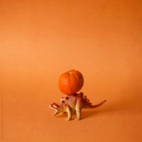 Orange Dinosaur, Phone Widget, Widget Ideas, Toddler Activity, Orange Aesthetic, Rainbow Wall, Orange Zest, Orange Background, Mandarin Orange