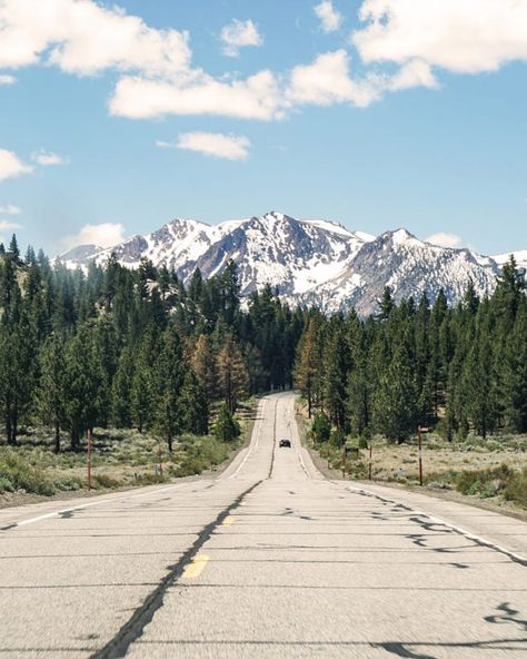 Endless horizons and majestic mountains—this is Mammoth Lakes, California. 🚗🏔️ The open road calls to adventurers and nature lovers alike. Ready to explore?   #mammothlakes #openroad #mountainviews #californiaadventures #nomadnessrentals Mammoth California, Mammoth Lakes California, Mammoth Mountain, Mammoth Lakes, Majestic Mountains, Open Road, Nature Lovers, Mountain View, Nature Lover