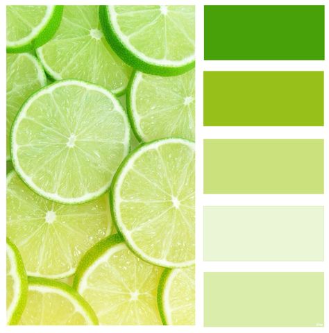 Food Color Palette Mojito Color Palette, Lemon Pallete Color, Lemon Green Color Palette, Vegetables Color Palette, Lime Colour Palette, Lemon Colour Palette, Kiwi Color Palette, Healthy Colour Palette, Vibrant Green Color Palette