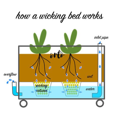 Wicking Garden Bed, Watering Raised Garden Beds, Diy Self Watering Planter, Box Planters, Garden Board, Self Watering Containers, Veggie Gardens, Food Simple, Urban Gardens