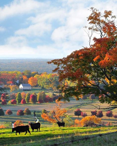 Autumn On The Farm, Western Massachusetts Aesthetic, Autumn Farm Aesthetic, Massachusetts Countryside, Autumn Massachusetts, Massachusetts Nature, Fall Massachusetts, Autumn Town, Fall On The Farm