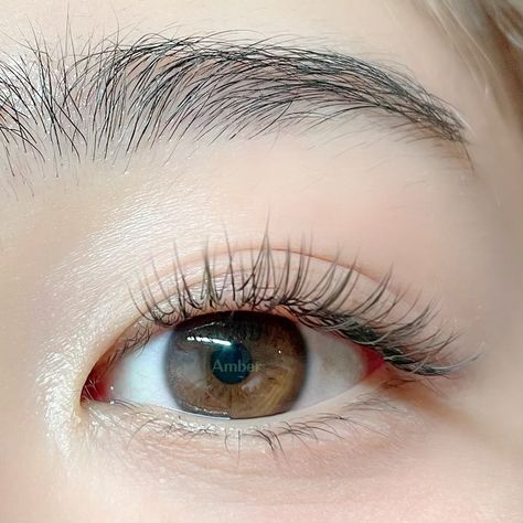 Natural Lash Extensions Asian Eyes, Monolid Lash Extensions, Classic Natural Eyelash Extensions, Eyelash Aesthetic, Slanted Eyes, Natural Looking Eyelash Extensions, Natural Fake Eyelashes, Lash Perm, Asian Makeup Tutorials