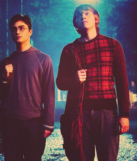 Harry Potter And The Phoenix Order, Harry And Ron, Ron And Harry, Harry Potter Ron Weasley, Potter Head, Ronald Weasley, Harry Potter Ron, Images Harry Potter, Rupert Grint