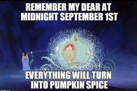 September 1st Fall Humor, Fall Memes, Autumn Quotes, Fairy Godmother, Happy Fall Y'all, September 1, Godmother, Happy Fall, Fall Fun