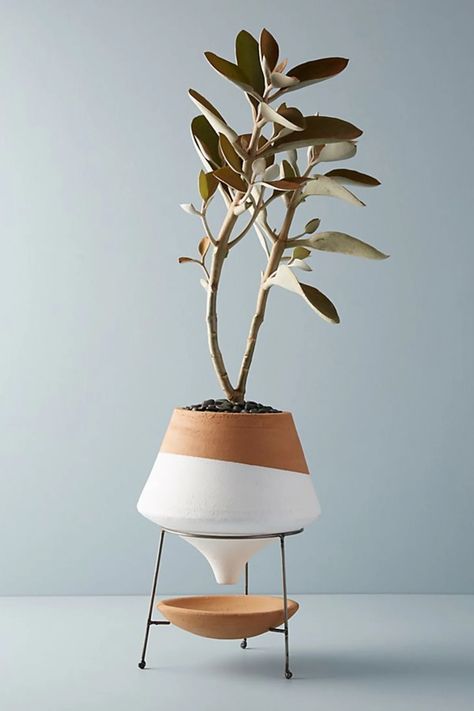 Modern Pot, Pot Stand, Orange Decor, Diy Plant Stand, Best Indoor Plants, Low Light Plants, Keramik Design, Houseplants Indoor, Pot Designs