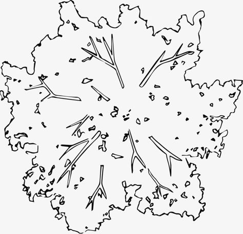 Trees Top View Drawing, Trees In Plan Architecture, Tree Top View Png Photoshop, Tree Top View Drawing, Trees Plan View, Tree Top View Architecture, Tree Top View Png, Tree Plan Png, Markers Drawing Architecture