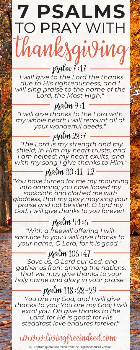 Psalms of Thanksgiving | Bible Verses About Giving Thanks Thanksgiving Quotes From Bible, Bible Verse About Giving Thanks, Thank You Bible Verse Scriptures, Psalms Of Thanksgiving, Thanks Giving Bible Verse, Bible Verses About Thanksgiving, Bible Verse For Thanksgiving, Bible Verses For Thankfulness, Thankfulness Bible Verses