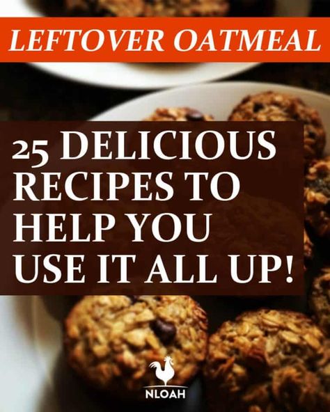 Leftover Oatmeal: 25 Delicious Recipes To Help You Use It All Up! • New Life On A Homestead | Homesteading Blog How To Use Leftover Cooked Oatmeal, Cooking With Oatmeal, Recipes Using Leftover Cooked Oatmeal, Uses For Leftover Cooked Oatmeal, Leftover Oatmeal Cake, Cooked Oatmeal Recipes Leftover, What To Do With Leftover Oatmeal, Leftover Oatmeal Recipes, Cooked Oatmeal Recipes