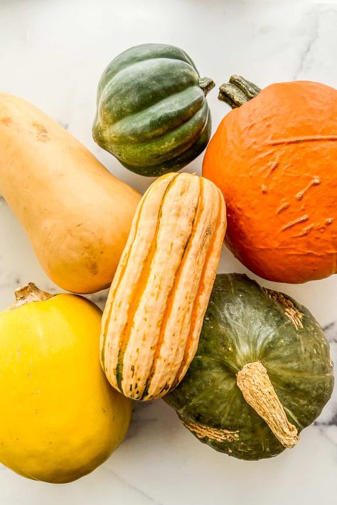 Here are the types of winter squash commonly available in the fall and winter. Plus how to use them, cut them, cook with them, and recipes to try! Types Of Squash, Winter Squash Varieties, Winter Squash Recipes, Stuffed Eggplant, Squash Varieties, Vegetables To Grow, Squash Casserole, Healthier Recipes, Almond Cakes