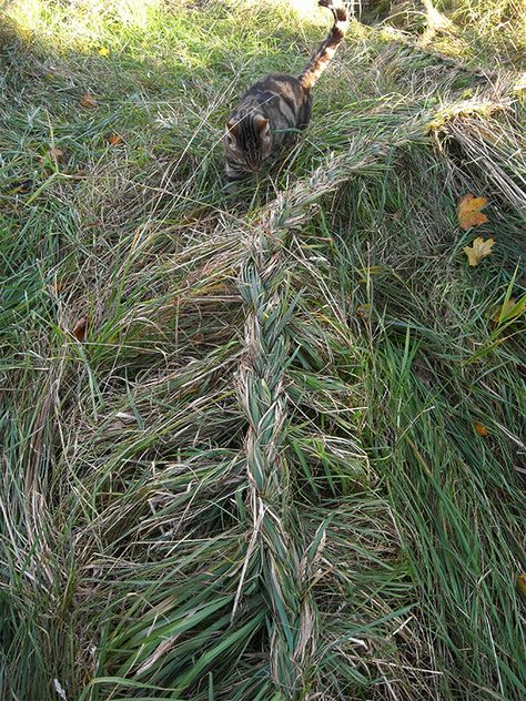 Camilla Engman: Grass braid Landart Ideas, Camilla Engman, Water Artists, Ephemeral Art, Art Jokes, Earth Art, Forest School, Garden Yard Ideas, Yard Design