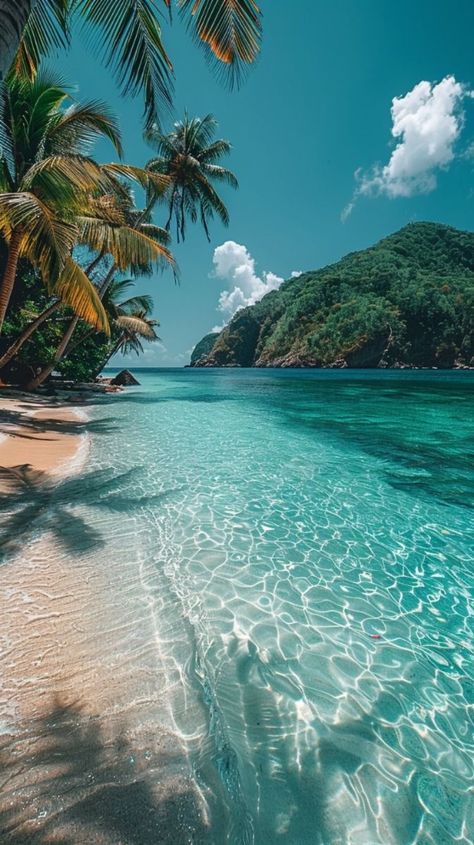 Ocean Mountain, Beautiful Beaches Paradise, Breathtaking Nature, Deserted Island, Beautiful Ocean Pictures, Field Flowers, Exotic Beaches, Mountain Forest, Pretty Beach