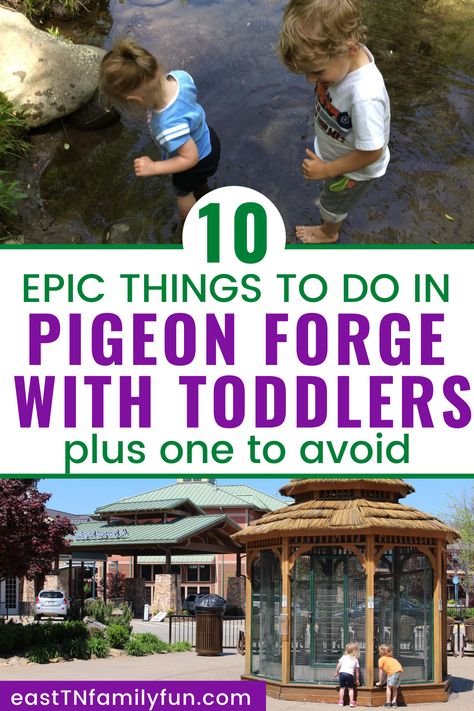 Pigeon Forge With Toddler, Smokey Mountains With Kids, Smoky Mountains With Kids, Gatlinburg With Toddlers, Things To Do In Gatlinburg With Kids, Great Smoky Mountains With Kids, Pigeon Forge With Kids, Gatlinburg Tennessee With Kids, Tn Mountains