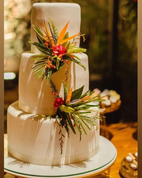 All Posts • Instagram Brazilian Wedding Traditions, Jungle Wedding Cake, Brazil Wedding, Jungle Wedding, Weeding, Wedding Cake, Wedding Cakes, Dream Wedding, Cake